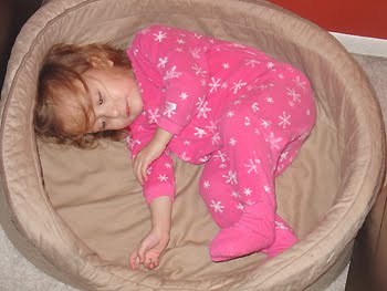 [2007.01.19HollandDogBed.jpg]