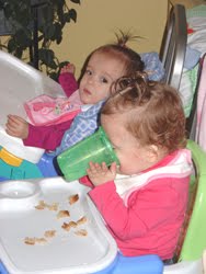 [2005.11.10HollandEden.jpg]