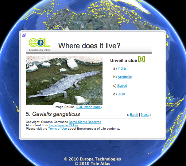 Free Technology for Teachers: Encyclopedia of Life - Species Quiz on Google  Earth