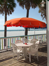 Lunch or Dinner on the beach