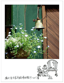 Metal door bell above little blue flower