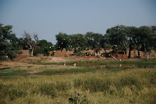 Fertile Wadi in West Darfur