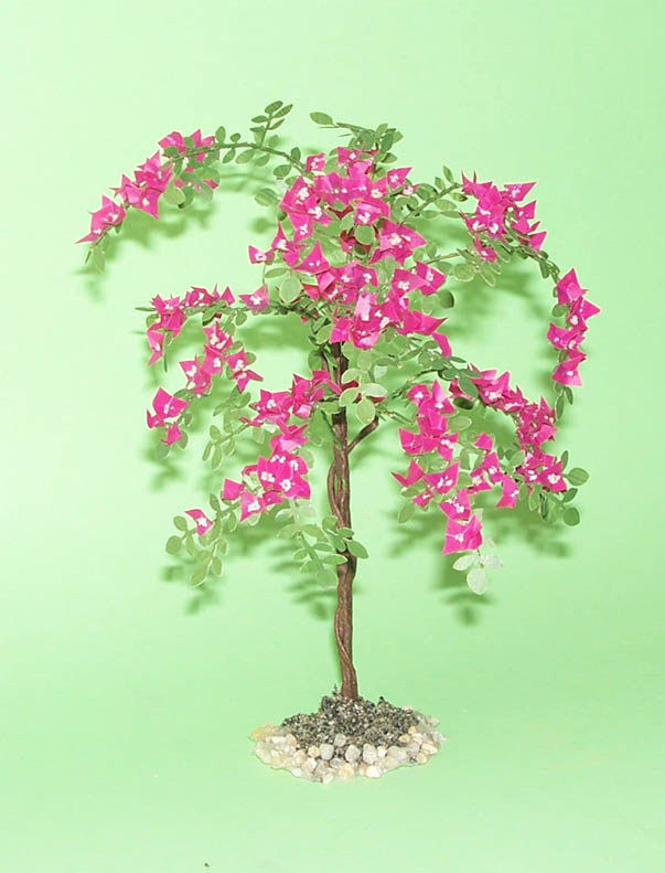 Plantas de exterior y jardines: Buganvilla