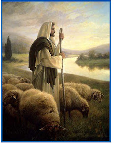 Números 35:34