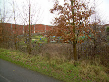 Packers Field Allotments