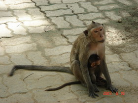 [299DSC05156.jpg]