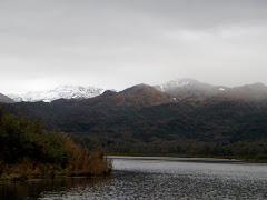 Saltery Lake in the rain