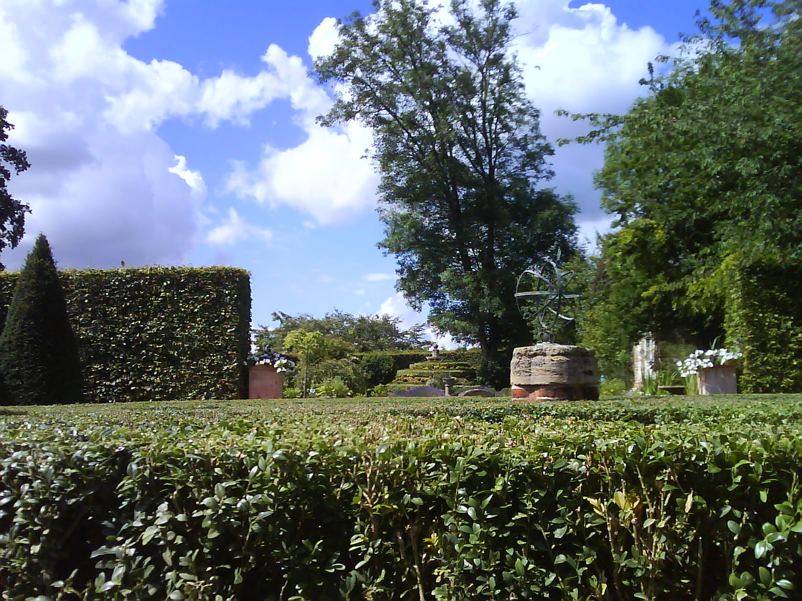 [DSC00236.JPG]
