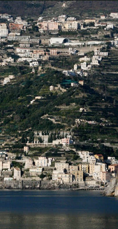 [img_7825-280110.jpg]