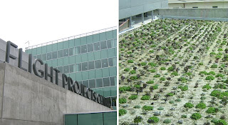 A rooftop, drought-resistant garden is among the 
