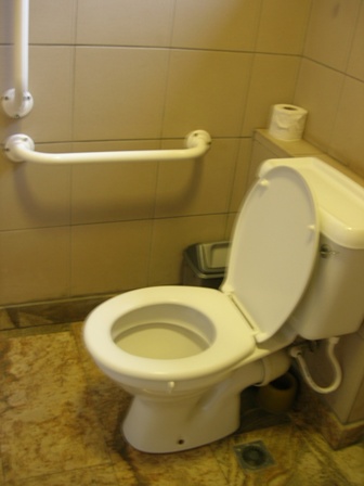 [Web+-+Cleanest+toilet.jpg]