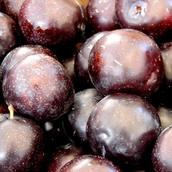 [blackplum.jpg]