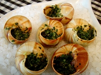 [snailplatethumb.jpg]