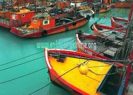 BANCO DE TIERRAS ARGENTINAS: PROVINCIA DE BUENOSAIRES -- PUNTA INDIO