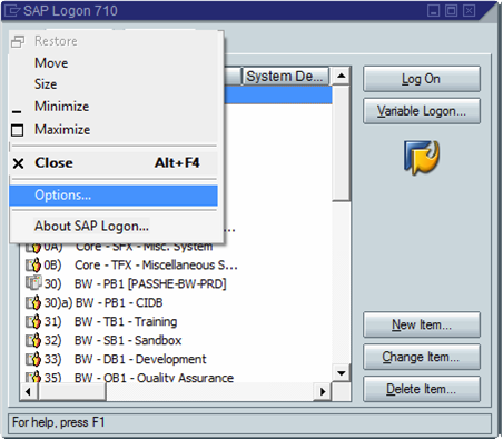 [saplogon_options.png]