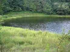 Spooky Black Lake