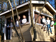My Students in the Treehouse