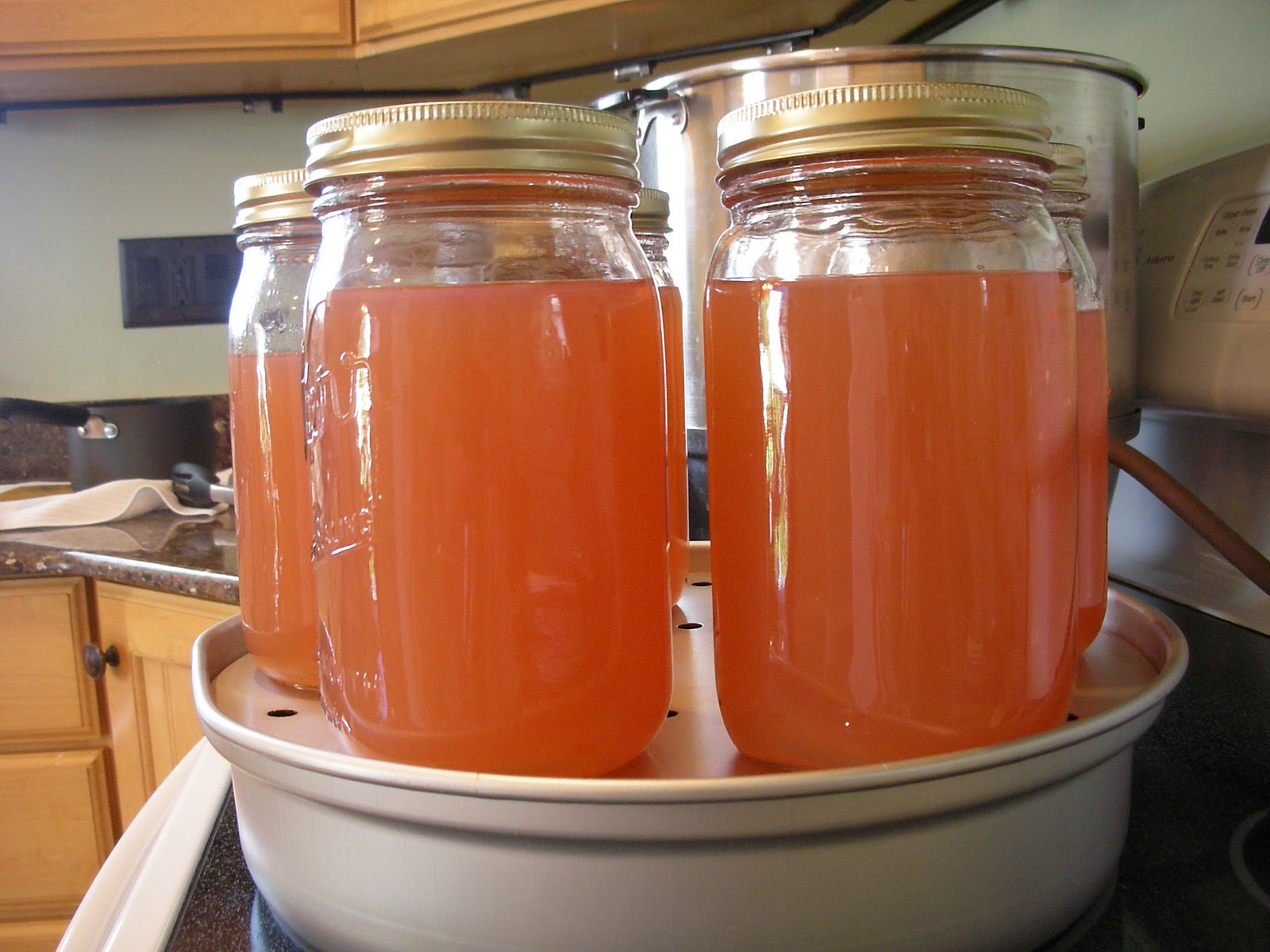 {it's fancy schmancy} Canning Grape Juice