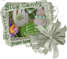 BLOG CANDY ETOILE