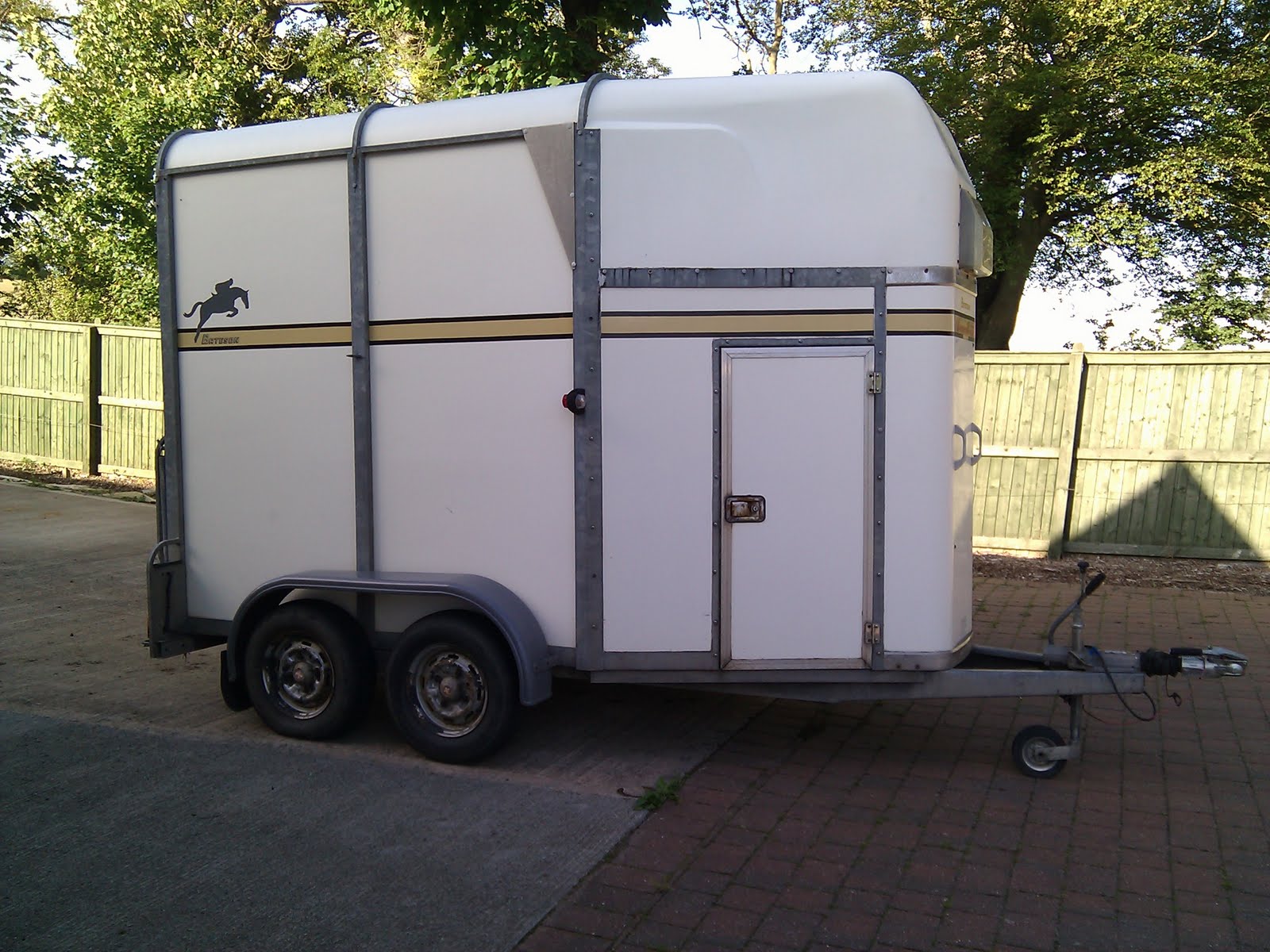 Ayr Riding Club Classifieds August 2010