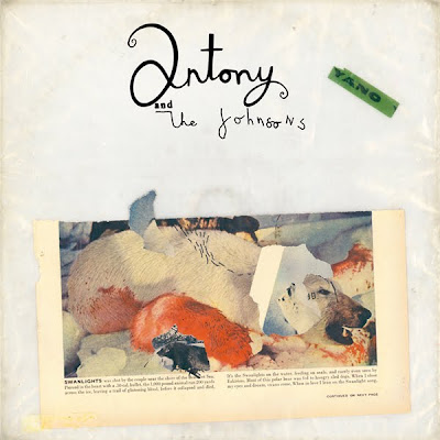 écoutez la nouvelle musique: Antony & the Johnsons "I'm In Love"