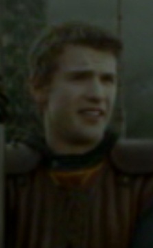 Harry Potter PARALLEL UNIVERSE: Harry Potter Cast of Characters Book 6