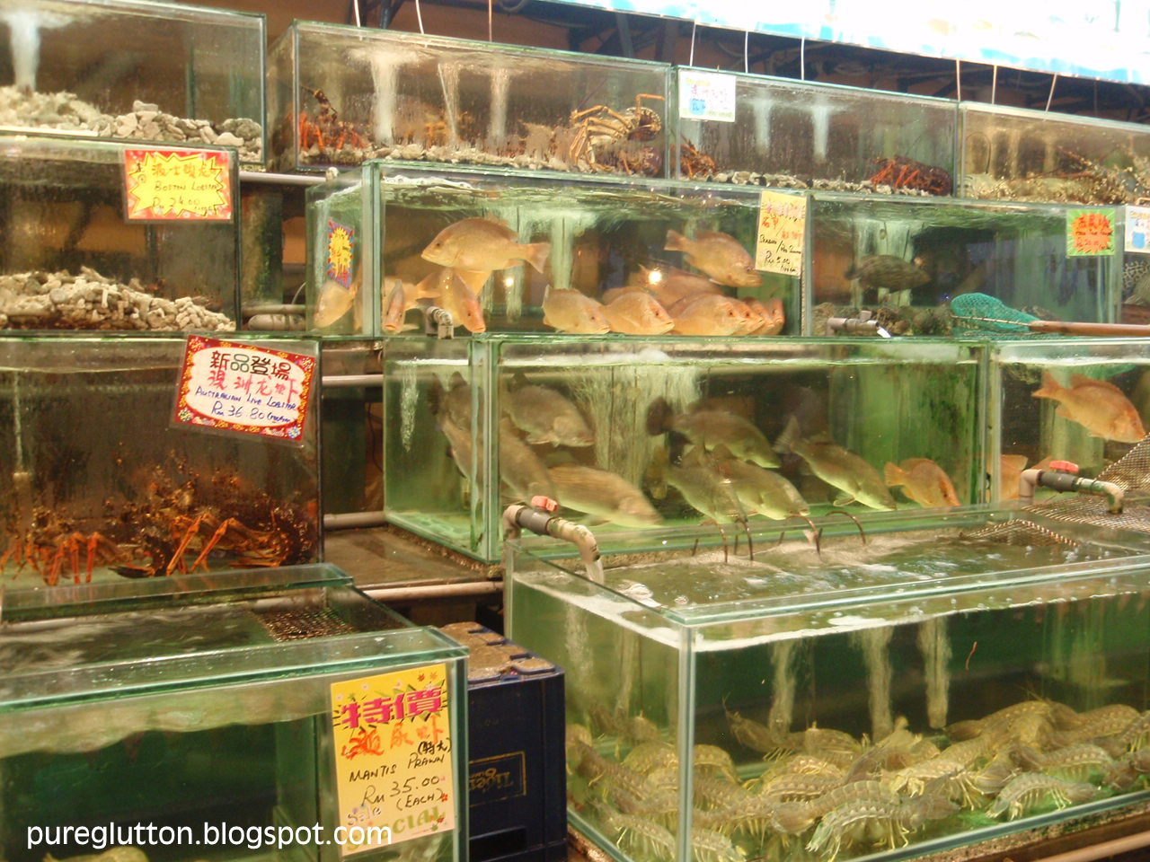 [PenangAug09+024.jpg]