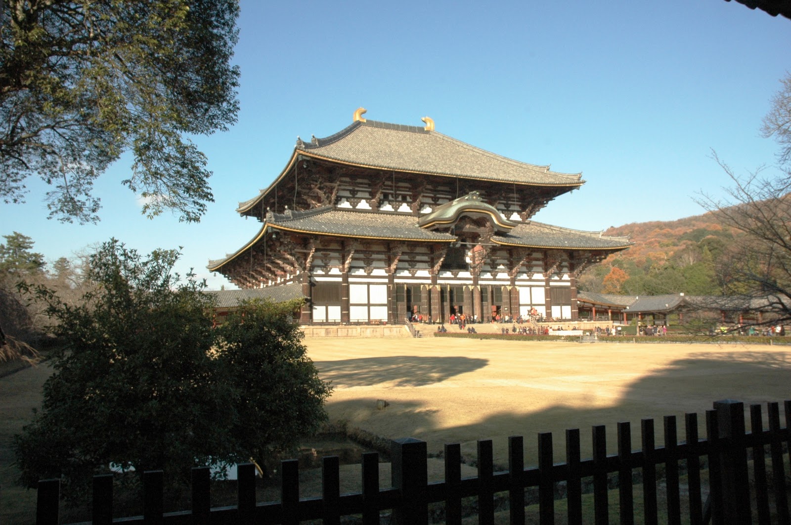 ARANOYAS The Largest Wooden Structure In The World