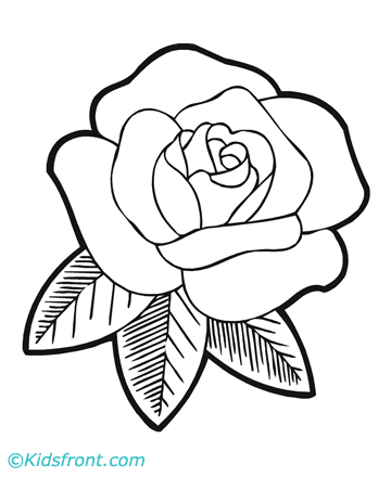 Coloring Pages: Spring Flower Coloring Pages Collections 2010