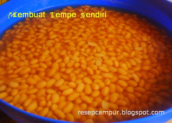 [tempe11.JPG]
