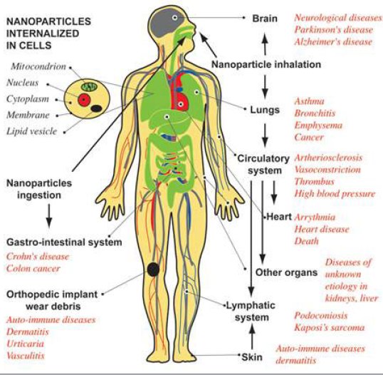 Estudios Biblicos para Nios - Lecciones para Nios