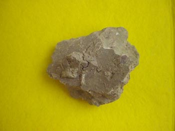 [CIMG0611.jpg]