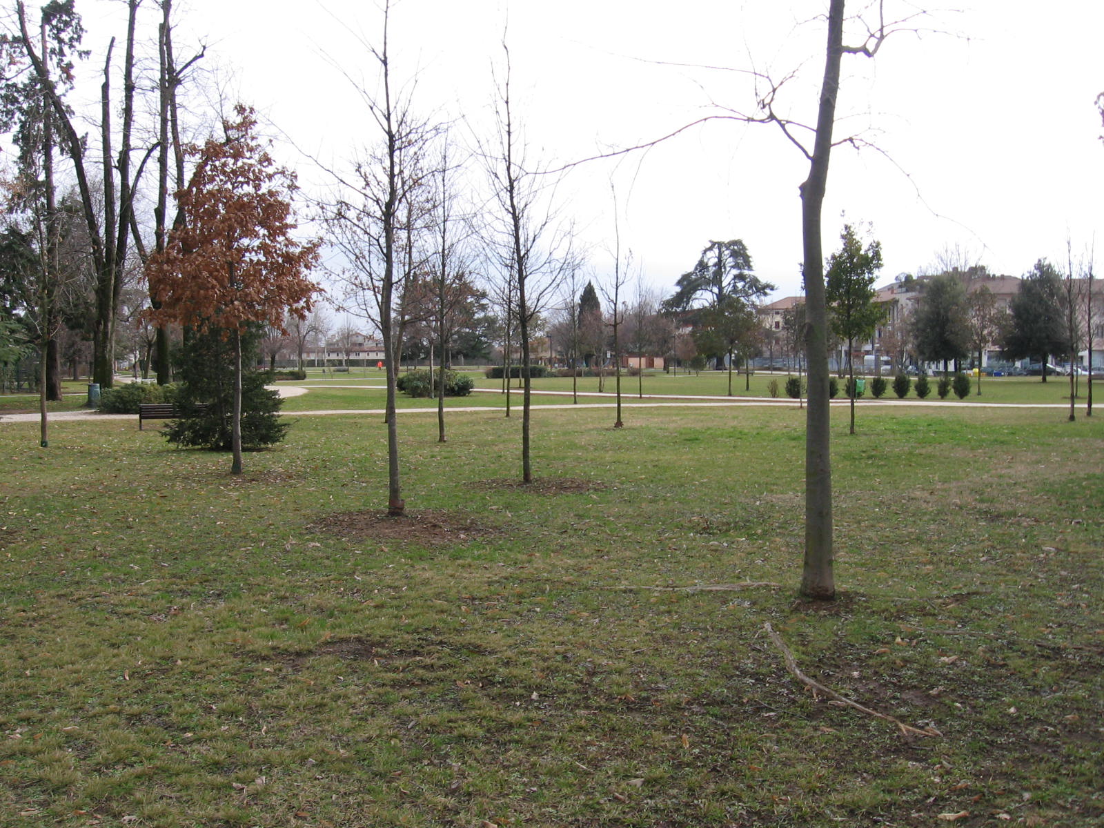 [IMG_2839.JPG]