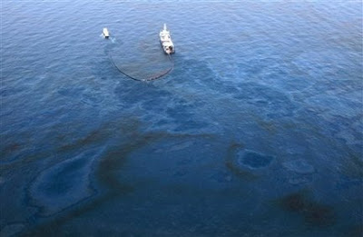 Oil-eating bacteria Clean Spills in Gulf