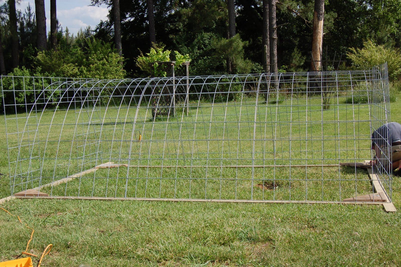 acorn farms chicken tractor