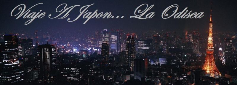Viaje A Japon... La Odisea