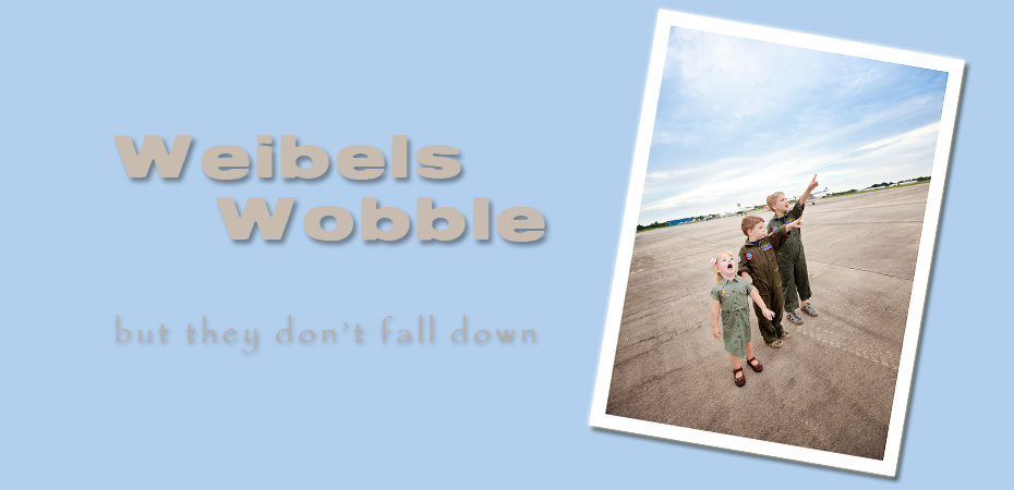 Weibels Wobble...
