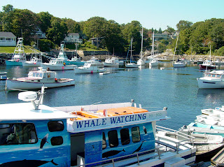 maine ogunquit attractions tourist things