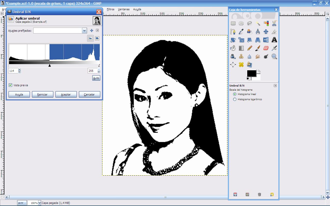 [EfectoWarholPaso5.JPG]