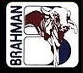 BRAHMAN - SUDAFRICA