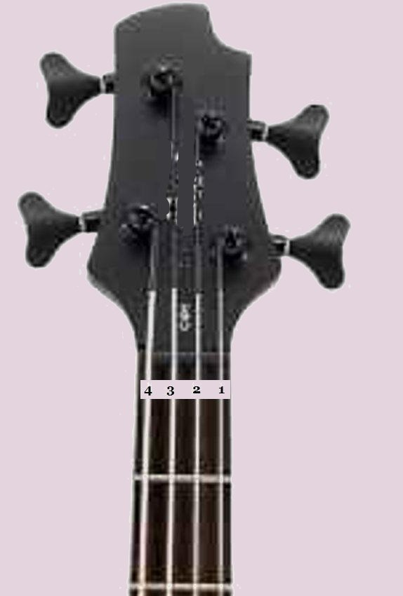 Bass guitar playing, styles, lessons.