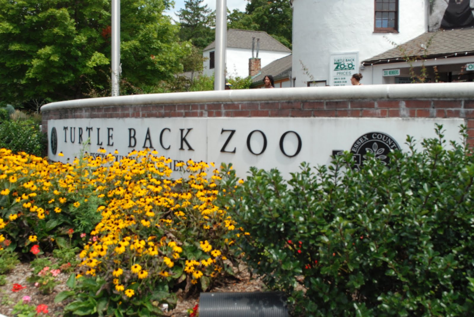 Margaret Montet Turtle Back Zoo