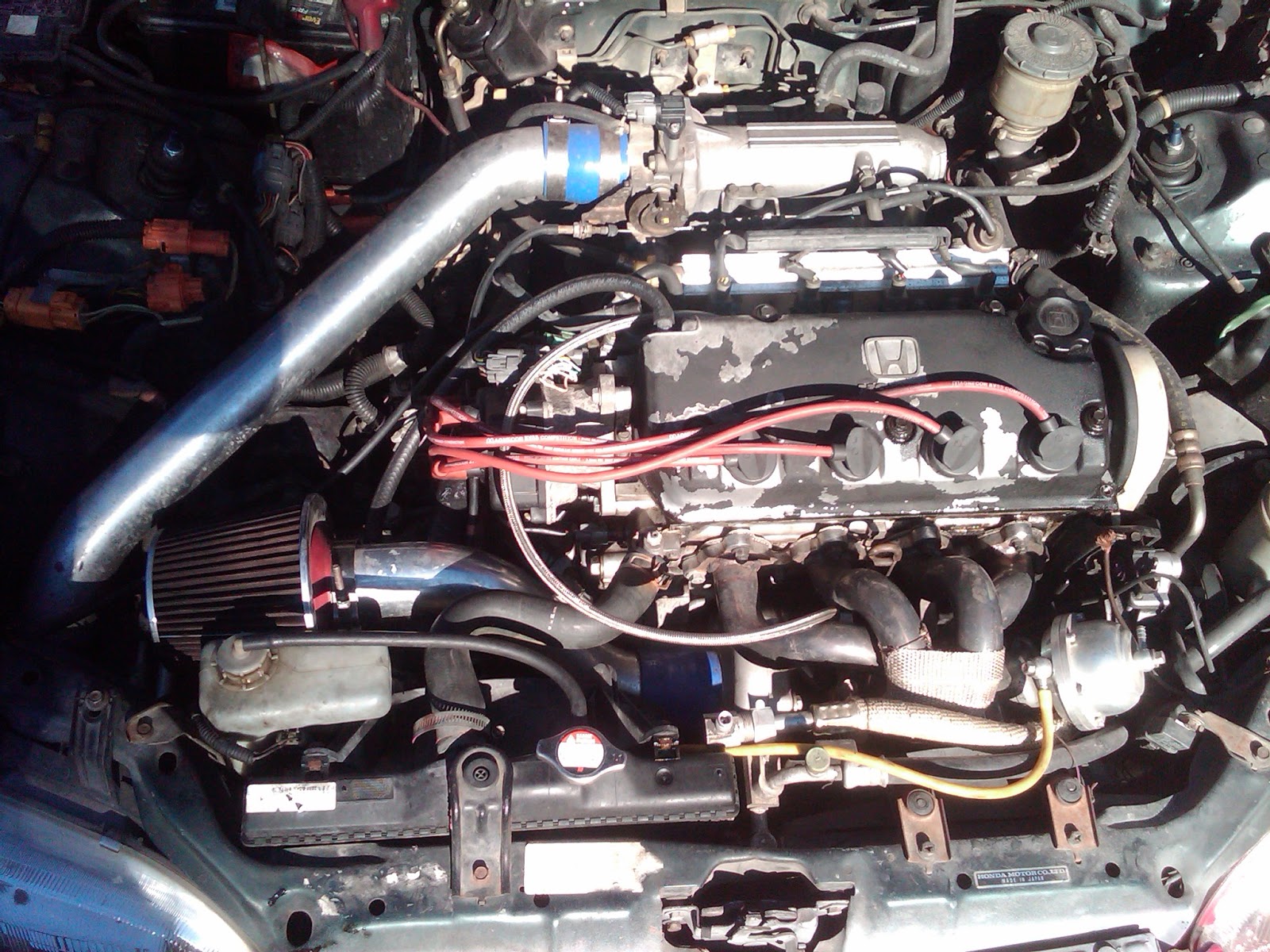 Rice patch: 95 Civic Ex Sedan