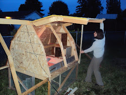 circo innovations chicken coop 15