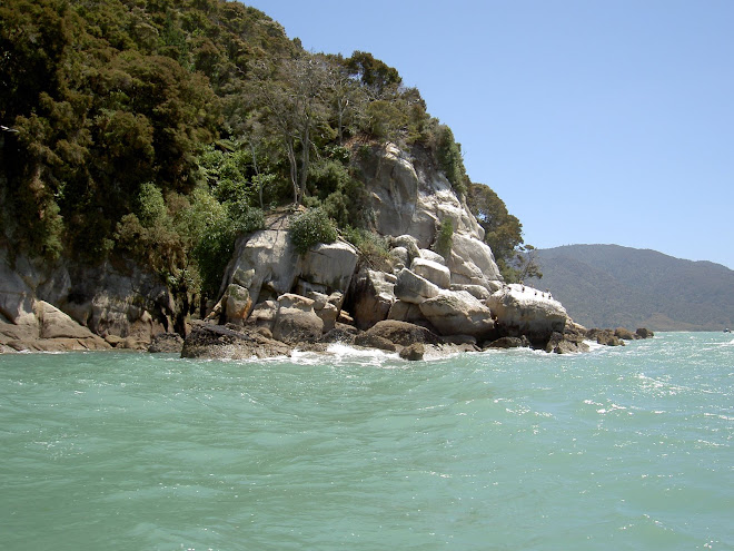 Abel Tasman National park