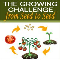 Seed Challenge