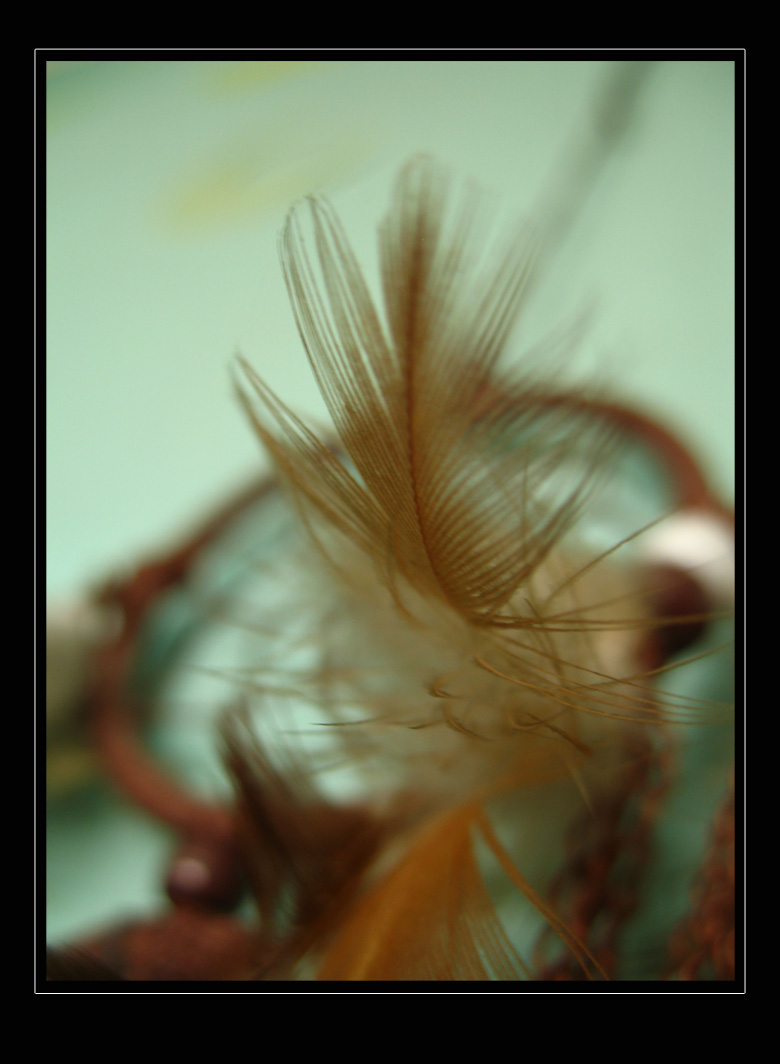 [i_1161205308_kapan.jpg]