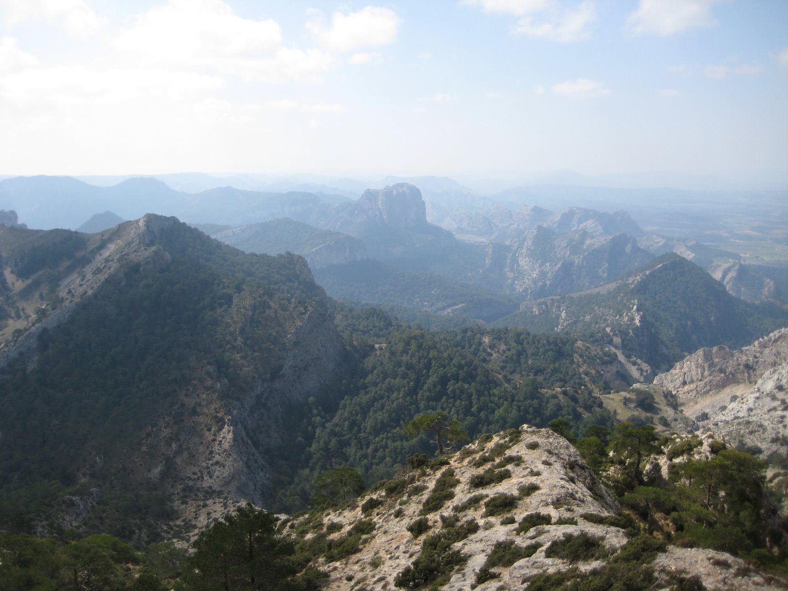 [2009_03_21+029.jpg]