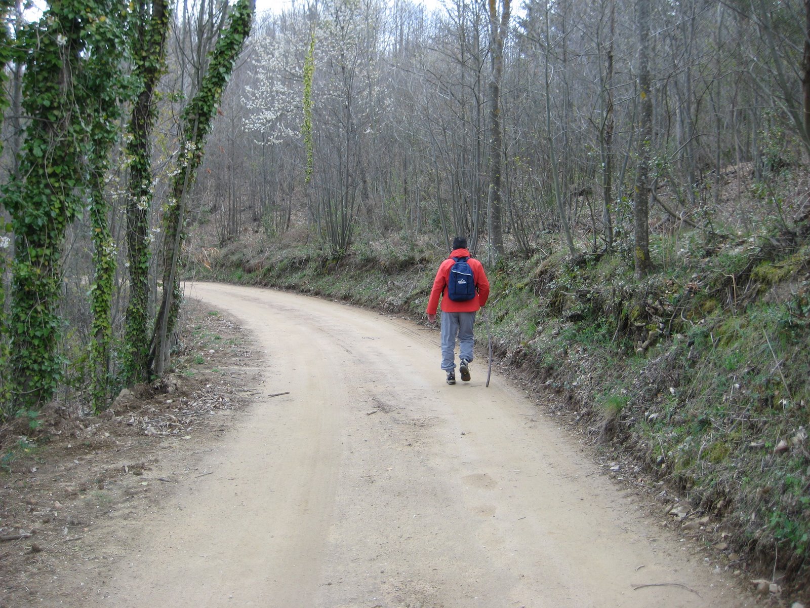[IMG_0138.JPG]