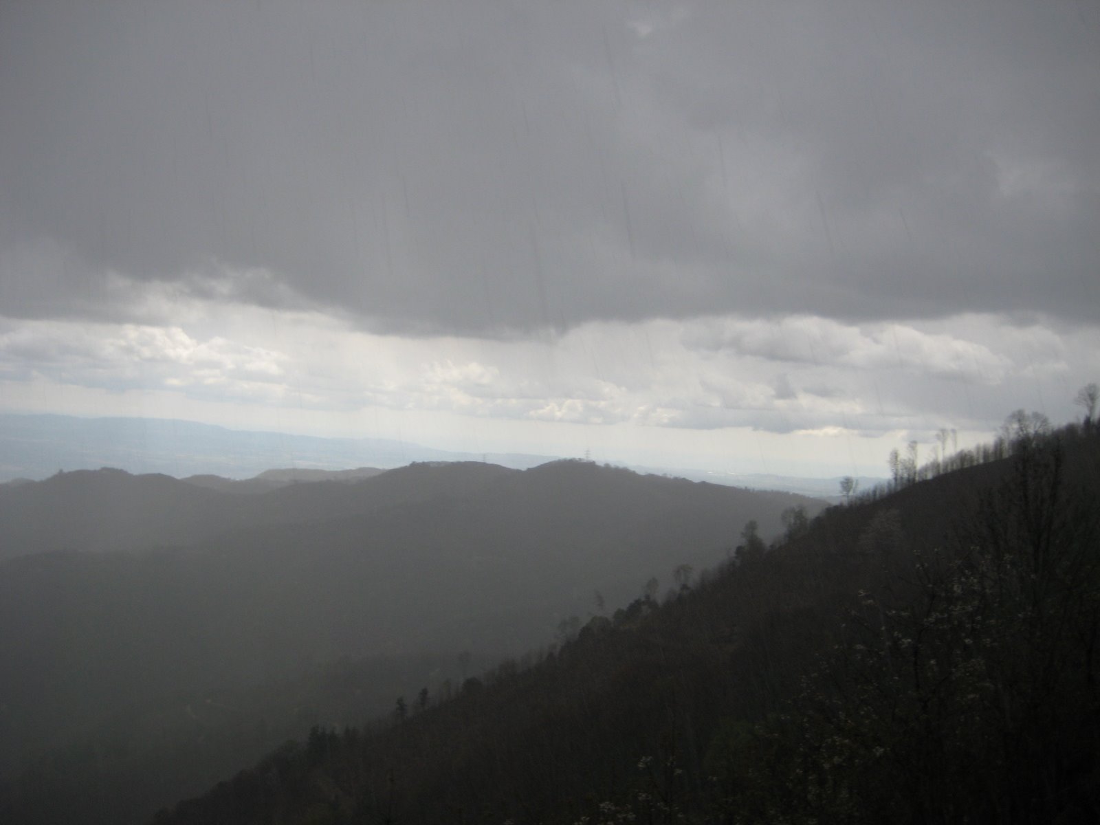 [IMG_0158.JPG]